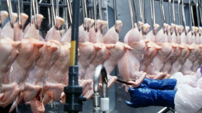 MPs urge UK ban on chlorinated chicken and hormone-fed beef