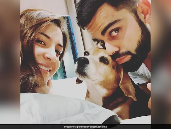 Virat Kohli, Anushka Sharma Mourn Death Of Their Pet Dog “Bruno”