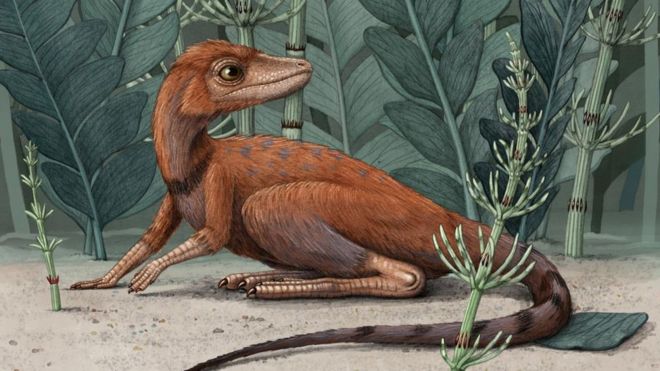 Dinosaur ancestors ‘may have been tiny’