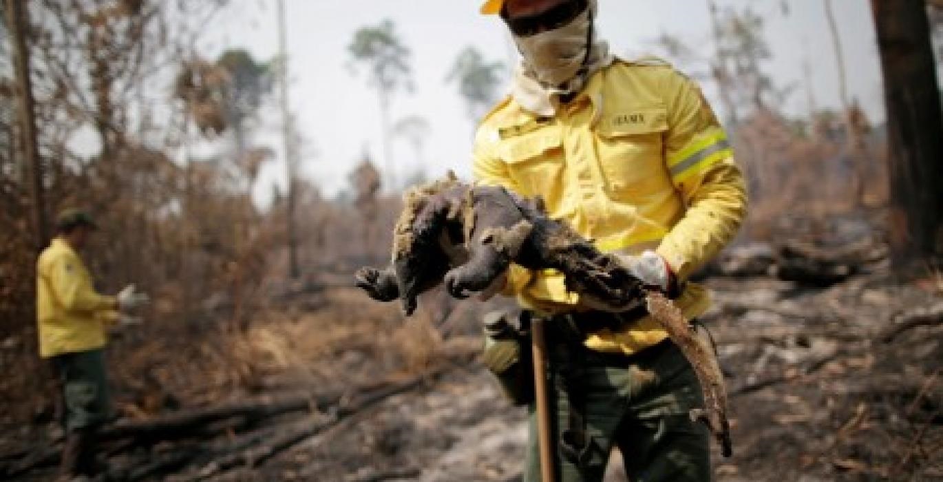 Brazil’s Bolsonaro calls surging Amazon fires a ‘lie’